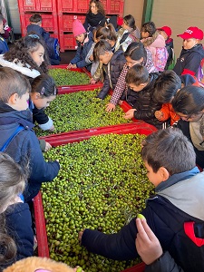 un momento della visita all'azienda olearia