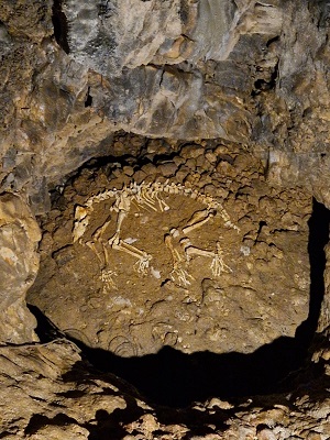 Le grotte di Barać