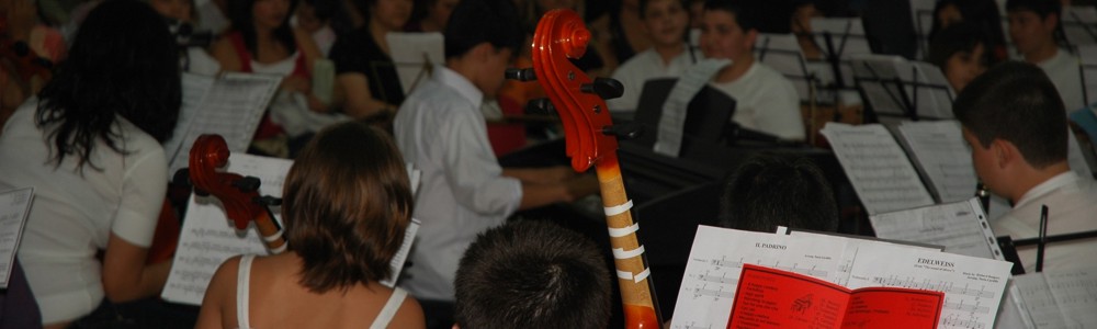 l'orchestra dell'Istituto Brancati